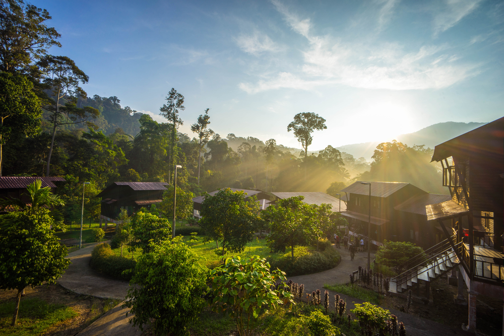taman negara malajzia