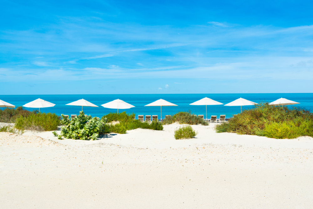 Saadiyat Beach abu dhabi