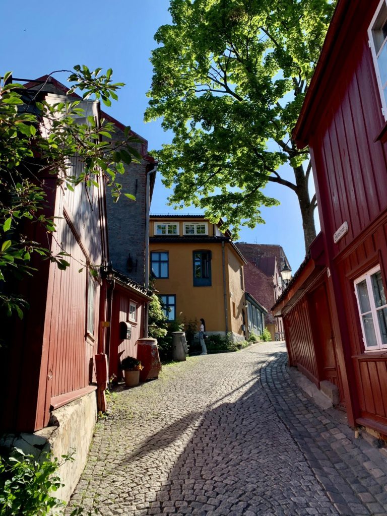 Damstredet & Telthusbakken