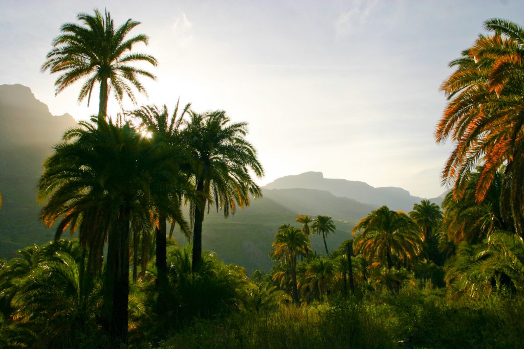 gran canaria
