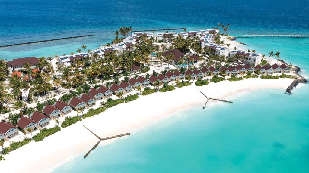 maldivy oblu