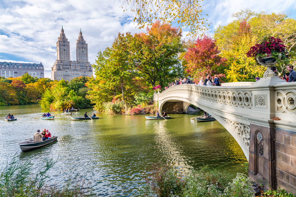 new york jesen