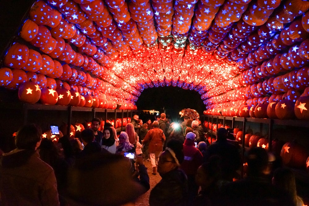jack o lantern blaze new york