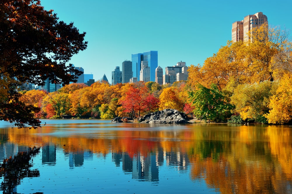 new york jesen