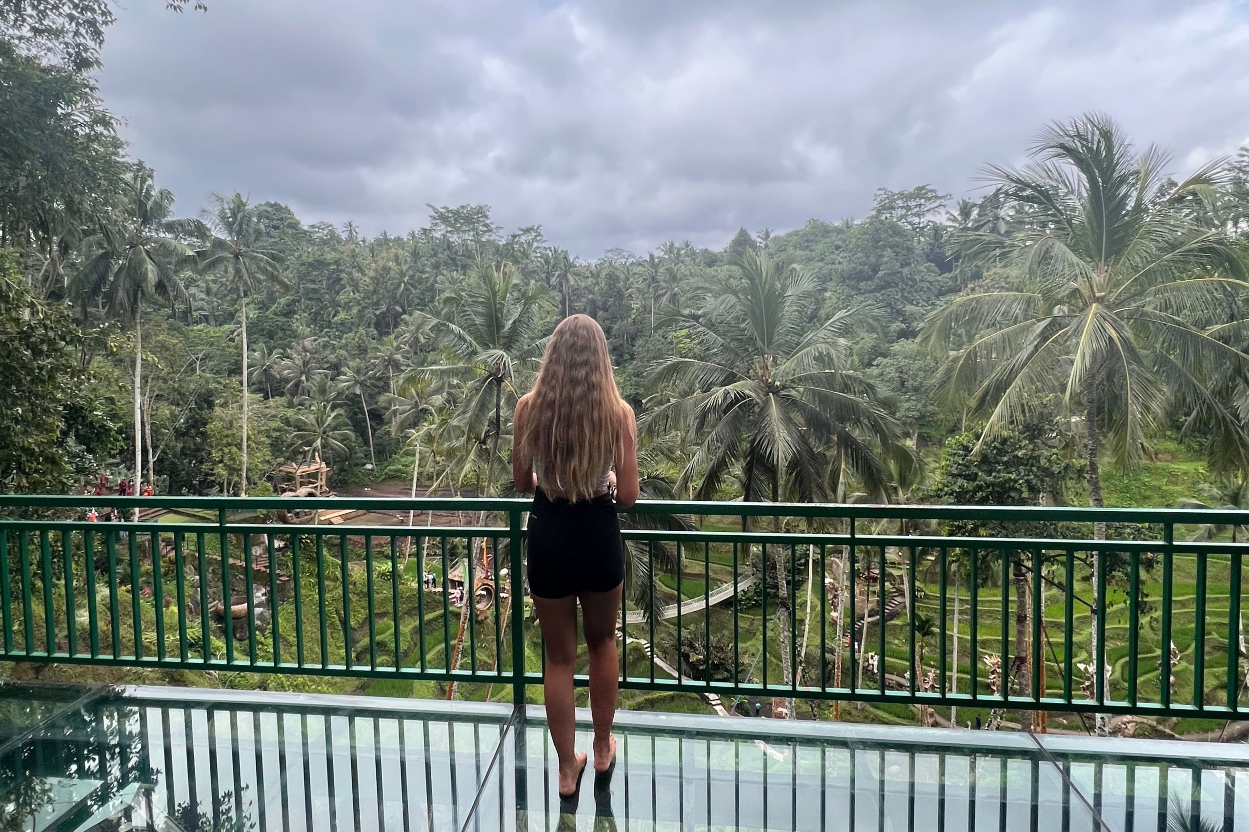 bali nikola bali