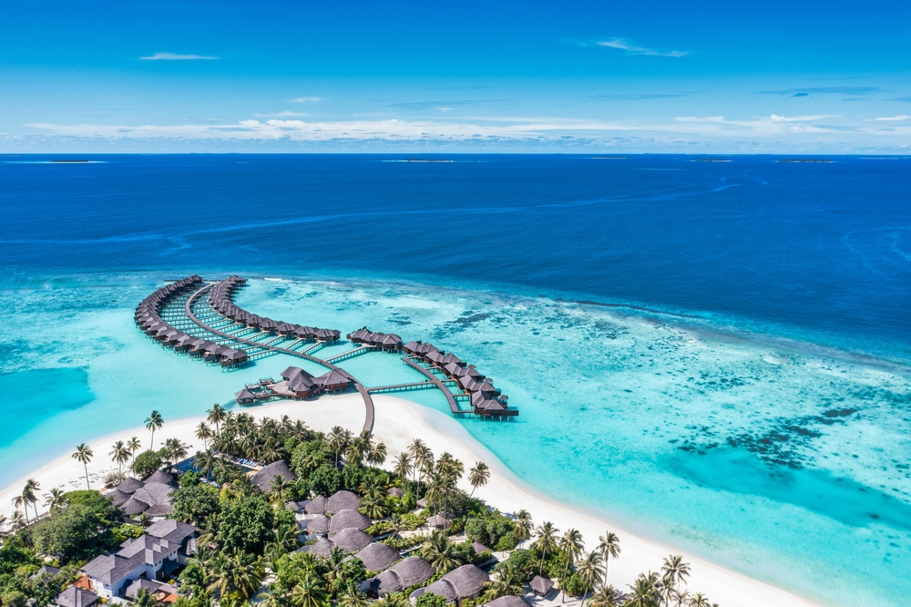 maldivy