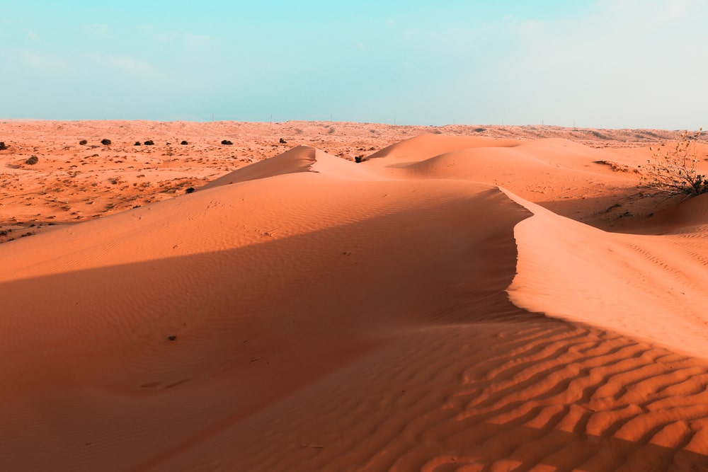 ras al khaimah pust