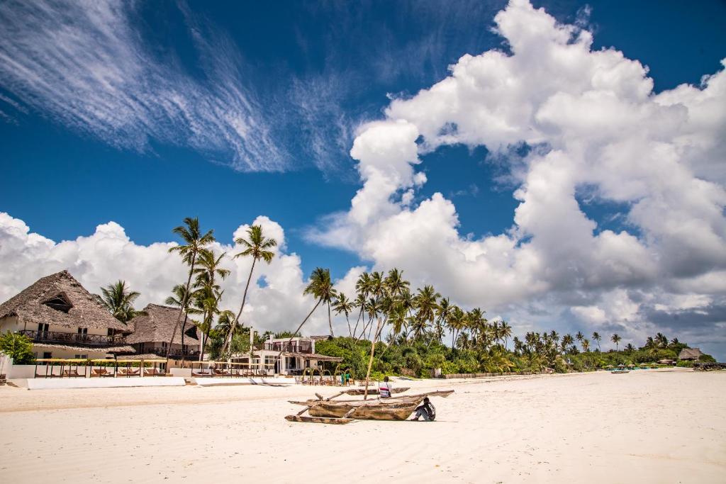 zanzibar plaz 3 zanzibar