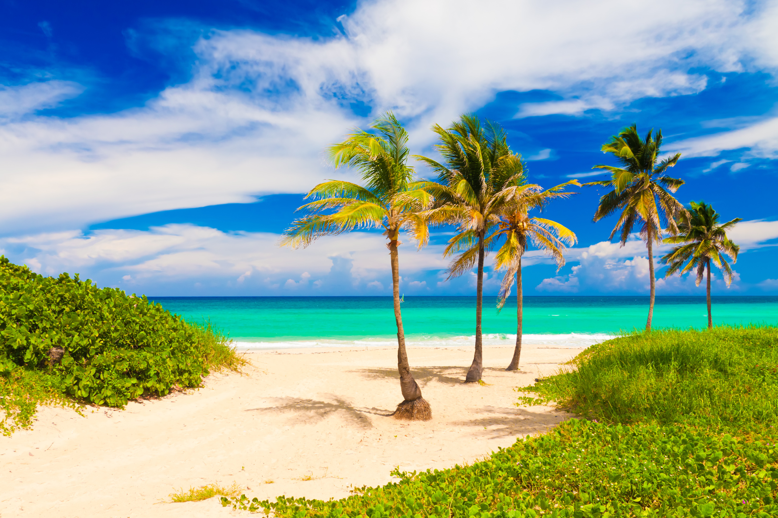 Beautiful,Tropical,Beach,In,Cuba kuba plaz