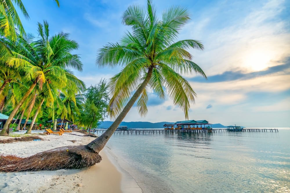 Tropical,Beach,With,Palm,On,Beautiful,Sandy,Beach,In,Phu phu quoc plaz