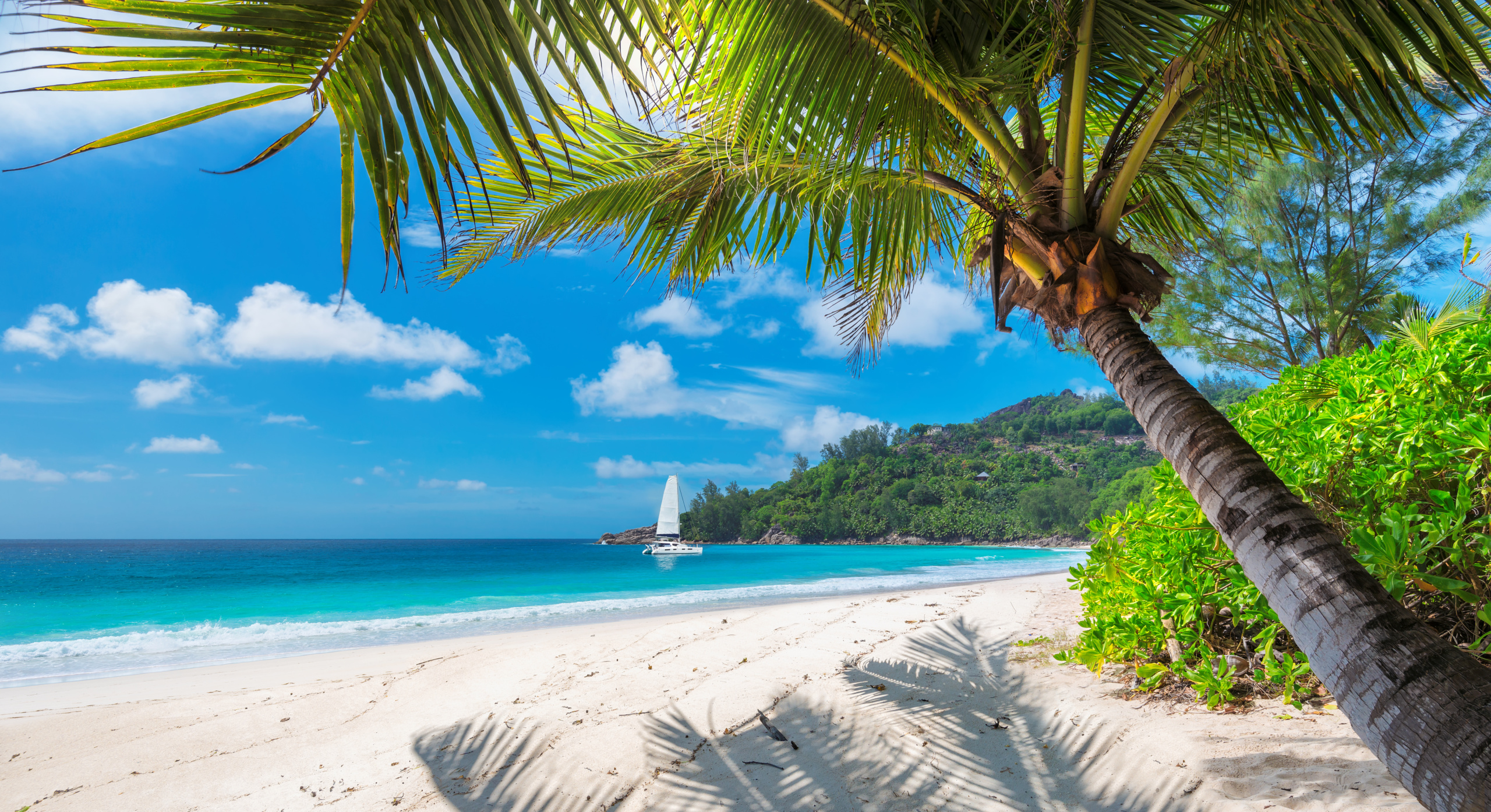 Beautiful,Sandy,Beach,With,Palm,And,A,Sailing,Boat,In Nádherné pláže, reggae a marihuana. Jamajka je klenot Karibiku, ktorý treba zažiť (+ letenky od 619€)