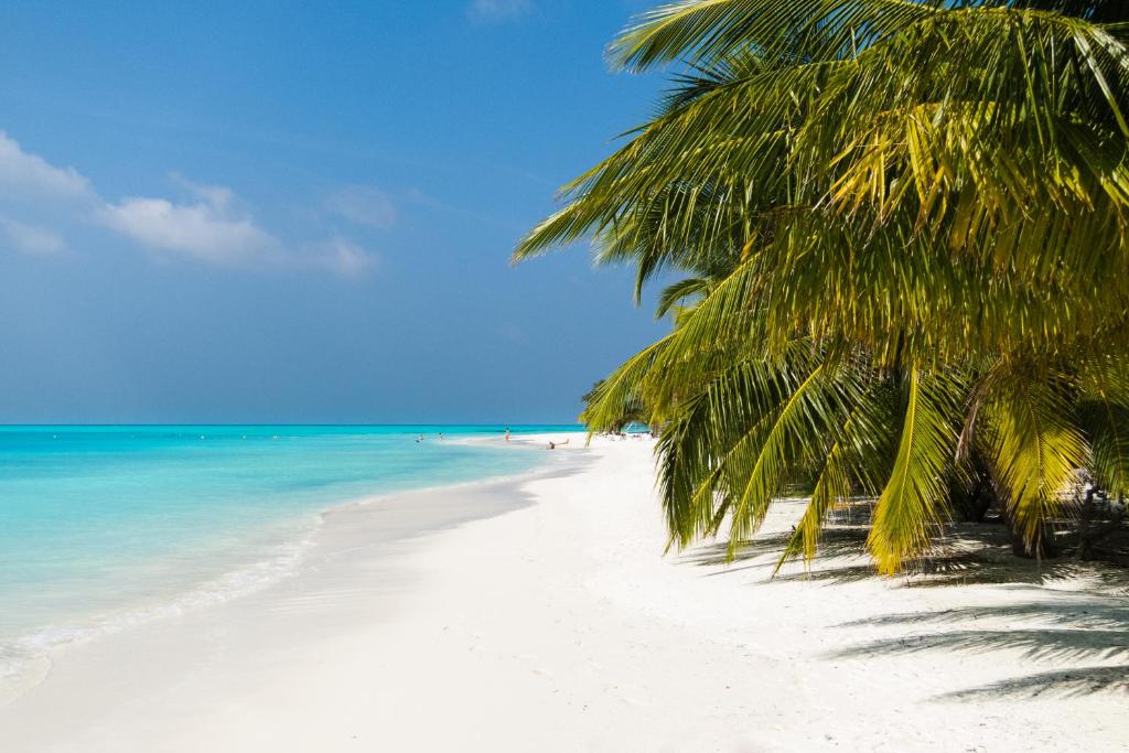Maldivy s 5* aerolinkami ETIHAD airways za 659€! Podpalubná batožina v cene
