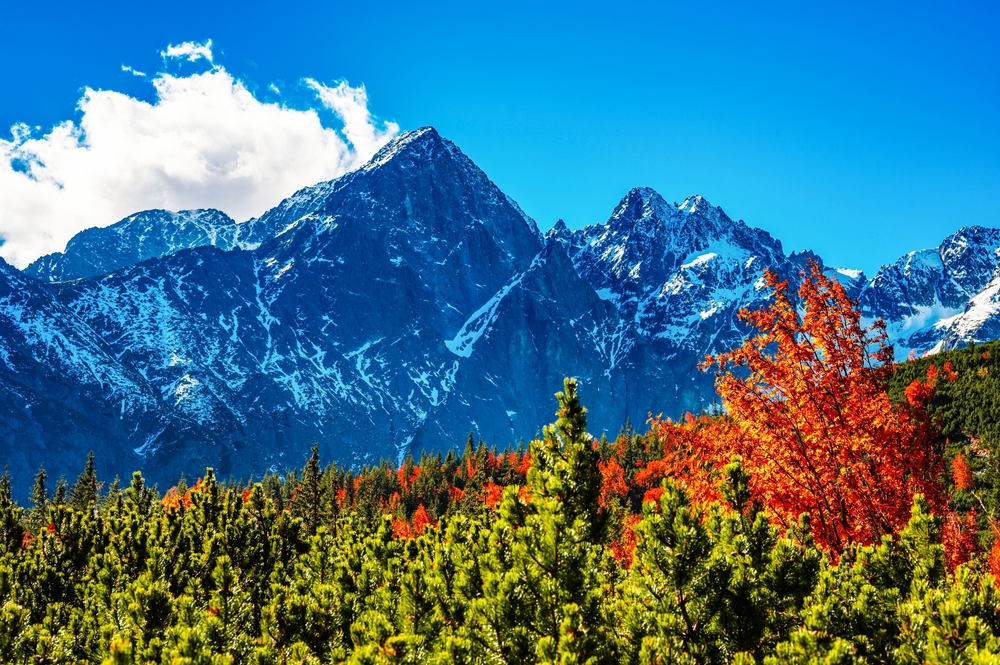 Snowy,High,Tatras,With,Colorful,Autumn,Trees.,Hiking,From,Zelene Tri Studničky, Hotel Ostredok i apartmány Lúčky. Pobyty, ktoré najviac zlacneli: rezervuj od 149€!