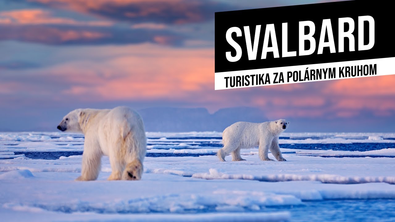 maxresdefault svalbard špicbergy arktída ladové medvede