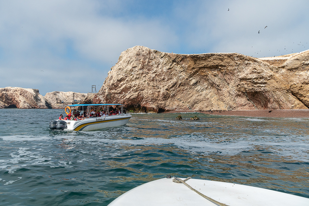 peru isla ballestas