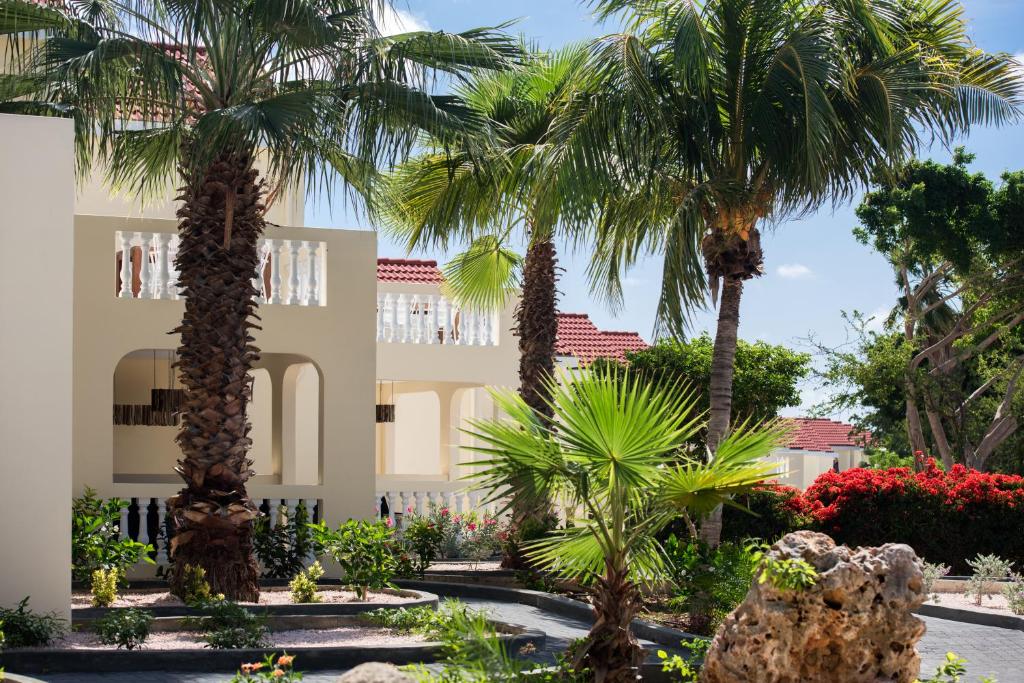curacao hotel livingstone