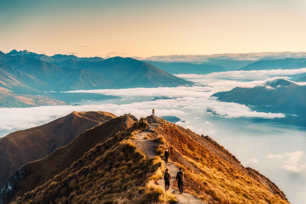novy zeland